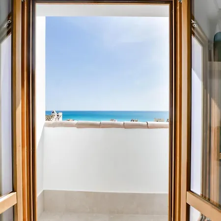 Mimar - Recomendado Adultos